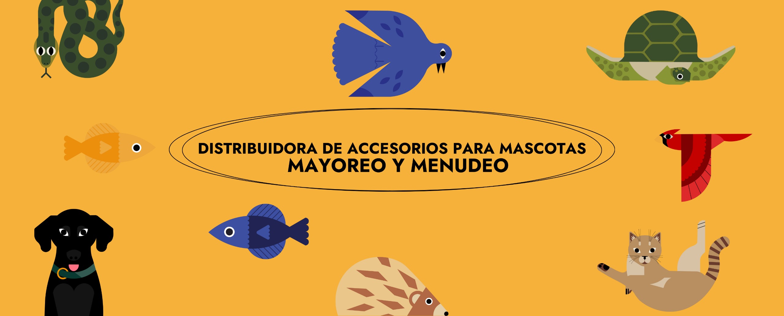 Nuestro equipo